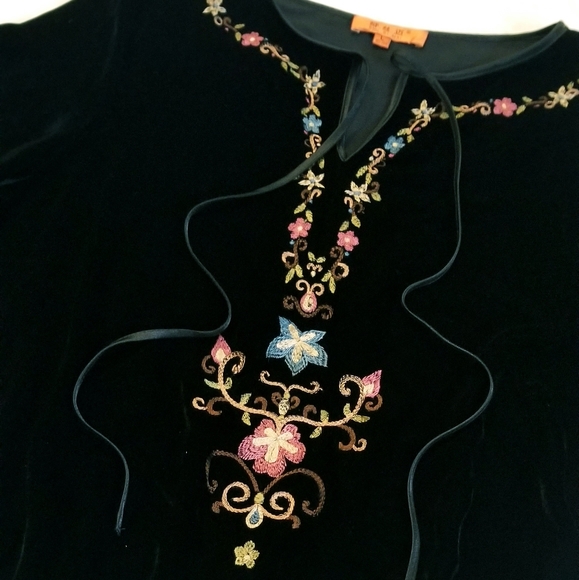 Embroidered Velvet Longsleeve Top - Picture 8 of 11